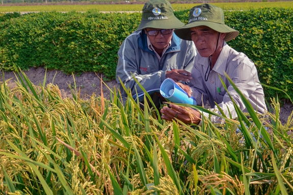 Hội viên Hội Nông dân TP Cần Thơ luôn được tạo điều kiện thuận lợi để vay vốn phát triển kinh tế.